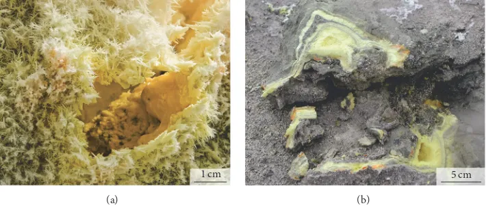 Figure 3: (a) Acicular sulfur crystals deposited from fumarolic gas; a gas channel covered with molten sulfur is visible