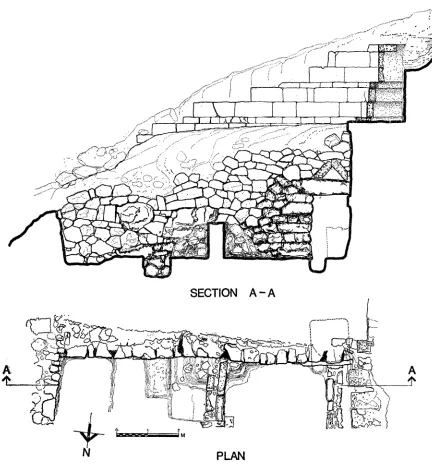 FiG. 2. Retining wall Elevation from north. Plan. Drawn by John Kurtich. 