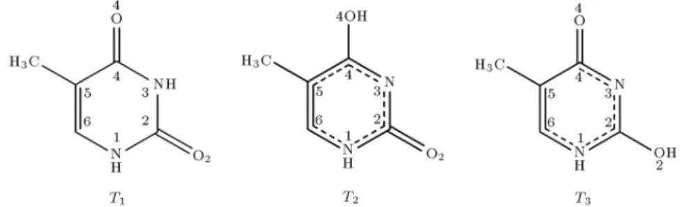 Figure 2 shows the most stable complexes for these cations. Our calculated atomic charges by B3LYP  6-311++G (d; p) show that the two oxygen atoms in thymine are almost charged equally (see Table 2), while the hydrogen atom in the methyl group is less posi