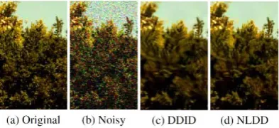 Figure 9: A detail of the artifacts produced by DDID and the corresponding result of NLDD