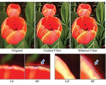 Figure 5: The halo artifacts with