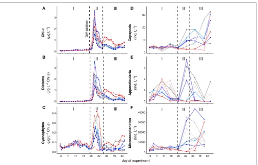 FIGURE 1 | Development of (A) chlorophyll a concentrations. (B) Abundances of diatoms, and (C) abundances of cyanophytes