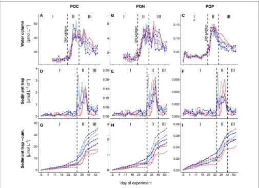 FIGURE 2 | Temporal development of standing stocks and ﬂuxes of total particulate carbon (TPC;and A,D,G), nitrogen (TPN; B,E,H) and phosphorus (TPP; C,F ,I)