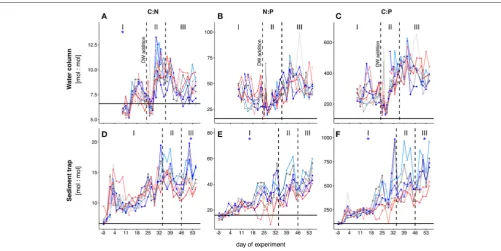 FIGURE 3 | Temporal development of POM elemental stoichiometries in the water columnRedﬁeld proportions for the respective elemental ratios (C:N (A–C) and the sediment trap samples (D–F)