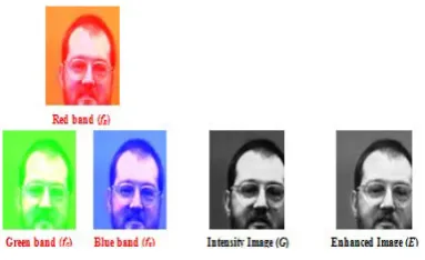 Figure 4: Some image samples for different faces in the used dataset. 