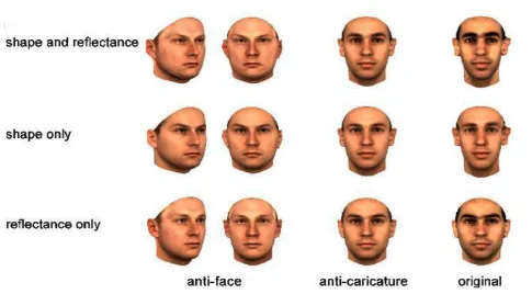 Figure 1: Figur 3D face recognition test 