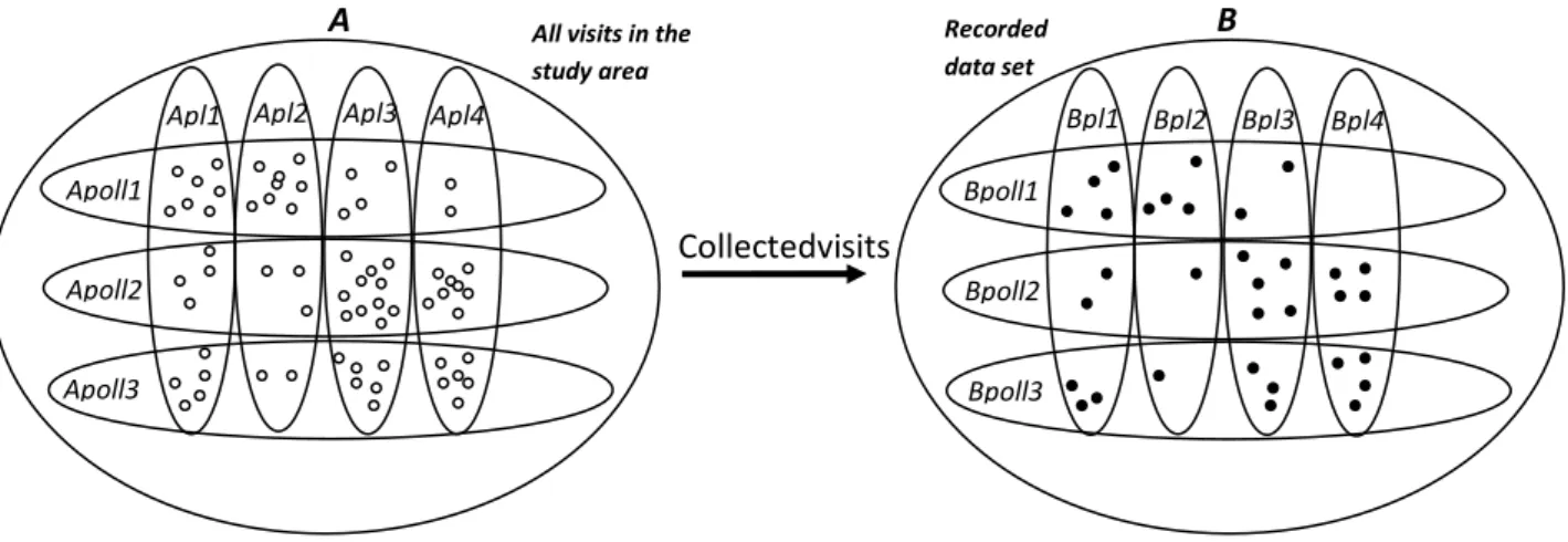 Figure 1. Illustration of the concept model, including three pollinator species and four plant species, with the set of all interactions between  pollinator and plant species (A) and a subset of recorded interactions (B)