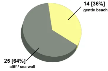 Fig. 5. Rogue wave off Maverick’s, USA in 2010 (© Scott Ander-son).