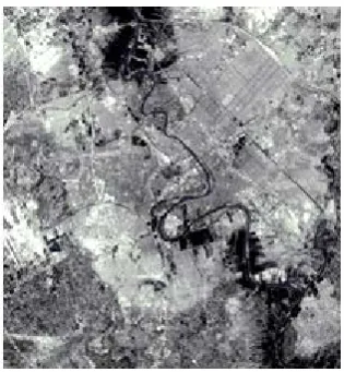 Figure 4: Result of the image composition. 