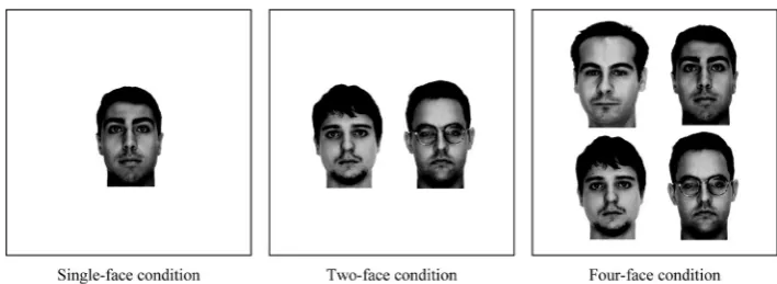 Figure 2. Experiments 1 and 2: Example encoding stimuli using images from AR Face database.