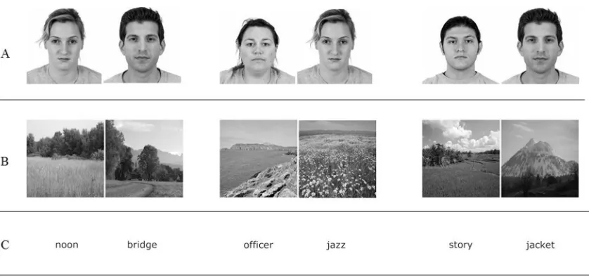 Fig 1. Experiment 3: Example stimuli pairs for faces (Panel A), places (Panel B), and words (Panel C).