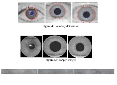 Figure 4: Boundary detections 