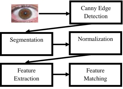Figure 2: Steps of the proposed algorithm 