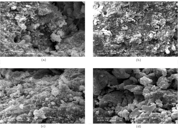 Figure 10. SEM micrographs of 7- and 28- day cured main (solidied soil) and control specimens at magnitude of 2000: