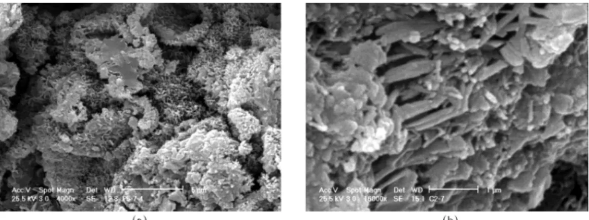 Figure 11. SEM micrographs of Ettringite produced in solidied soil: (a) at magnitude of 4000; and (b) at magnitude of 16000.