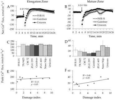 Figure 9. Kinetics of Ca(Figure 9.2+ fluxes from three representative barley varieties in response to 0.3/1 mM Cu2+/ascorbate mixture (●OH) treatment from both root elongation zone (A) and mature zone (B)