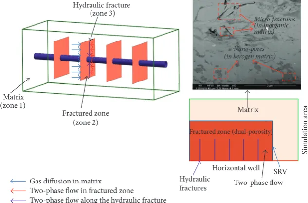 Figure 2: Flow and diffusion processes in multiscale zones.