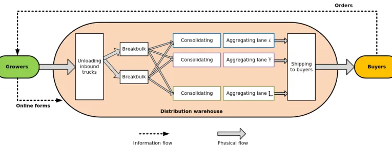 Figure 3. Information flows and physical flows in the Dutch flower supply chain  4.1.2  Physical flows 