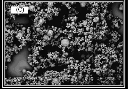 Fig. 9: SEM Image of Optimized Sulfasalazine Microspheres 