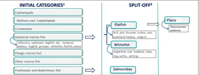 Figure 2. Disaggregation of fish groups after interviews with market experts. 