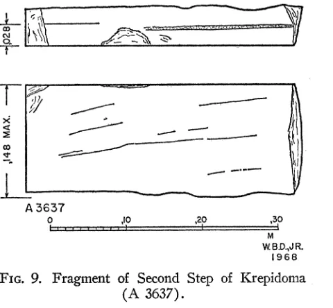 FIG. 9. Fragment of Second Step of Krepidoma (A 3637). 