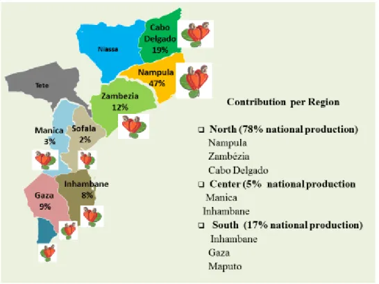 Figure 3. Cashew Nut Geographic Distribution 