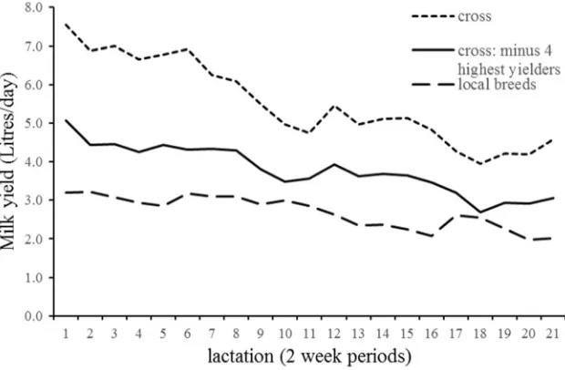 Fig. 2 Average daily milkrecorded after every 2 weeksperiod of lactation for differentbreed of cows in the twomanagement systems