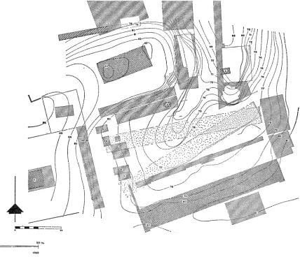 FIG. 1Oc Contotir Plan of Area around Temple Hill, ca. 1000 B.C. 