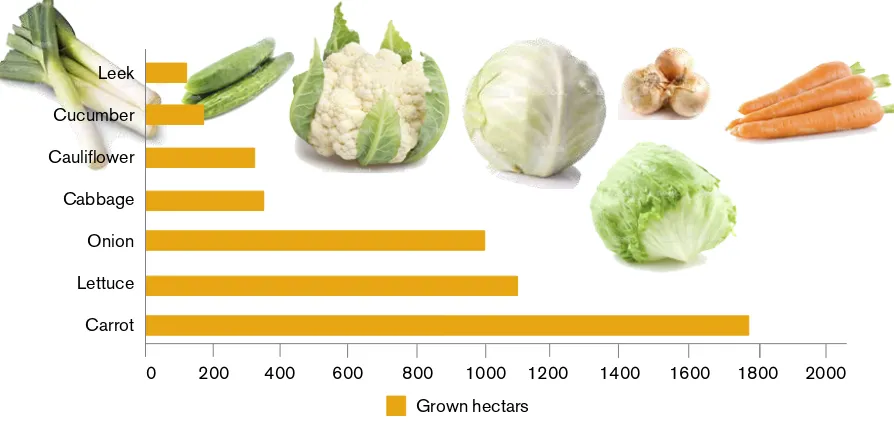 Figure 1. The top seven vegetable crops in terms of area (ha) grown in Sweden in 2013 (Statistiska meddelanden, 2014)