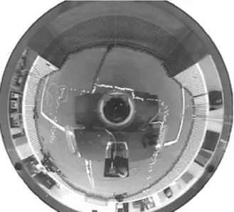 Figure 14. A visualization of the mapping of eld border points on the robot coordinate system.