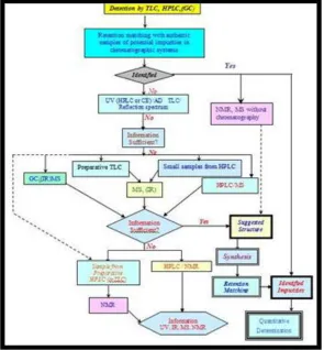 Fig. 3: General Scheme for Impurity Profiling 