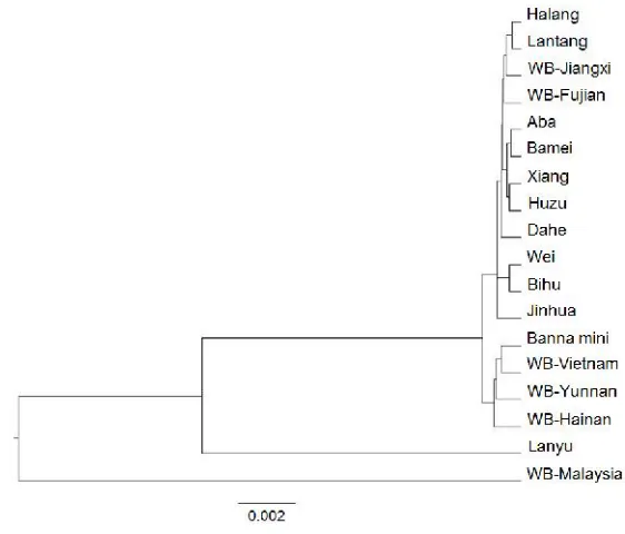 Fig. 2. The phylogenetic relationship was analyzed using discrete data based method