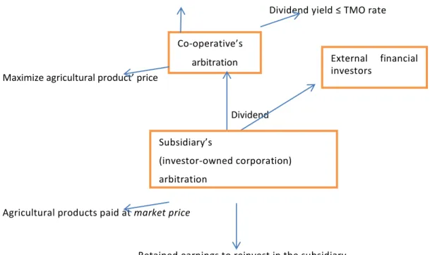 Figure 2. Arbitration of returns and retained earnings in a co-op group with subsidiary 