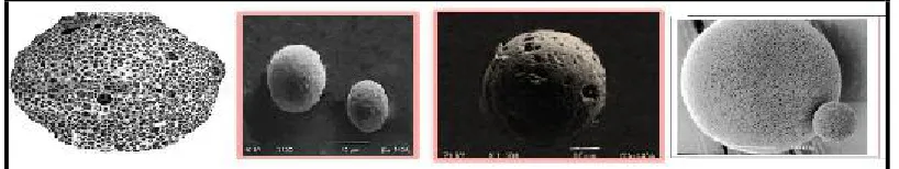 Fig. 1: Structure of microsponge