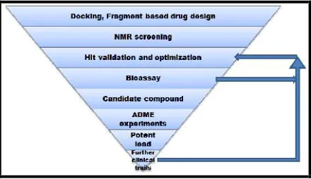 Fig. 1: Systematic flowchart for application of Fragment based
