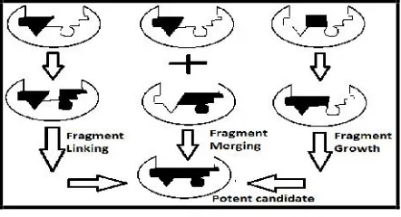 Fig. 2: Illustration of Fragment evolution