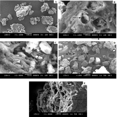 Fig. 10: Scanning electron microscopy of A) Indomethacin, B) ED1, C) EC1, D) CD1, E) CS1 