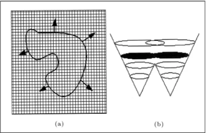 Figure 4. (a): Moving boundary and (b): Emerging (separation) of two inclusions in the level set method.
