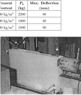 Figure 11. Numerical model for direct shear loading.