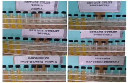 Table No. 1: The mean of all 20 days reading before pretreatment of dye effluent  