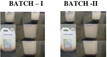 Figure 3: Batch 1 and II Fermentation Process. 