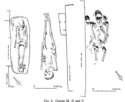 FIG. 5. Graves M, N and S 