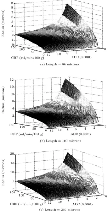 Figure 2. Relationship between mean length and radius of capillary in damaged and normal regions.