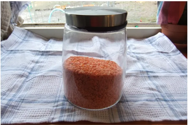 Figure 6 - Evelyn's friend, the jar of lentils. Photo credit: Kaseen Cook.