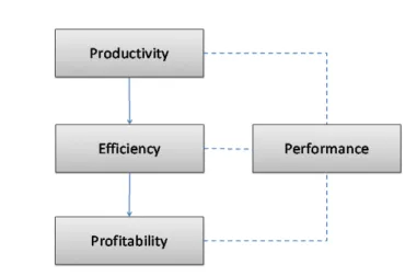 Figure 1. The linkage between the concepts of productivity, efficiency, profitability and performance  Source: own work .