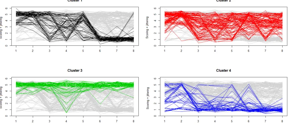 Figure 2. Scoring patterns of the individuals grouped in each cluster 
