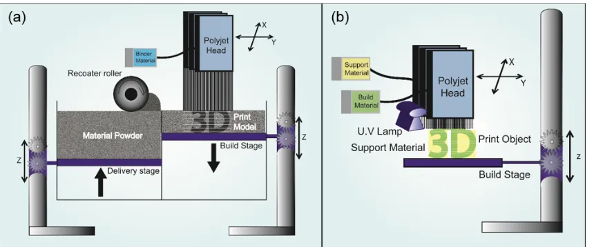 Figure 2. Schematic diagrams of inkjet printers: (a) binder jetting printer, (b) photopolymer 
