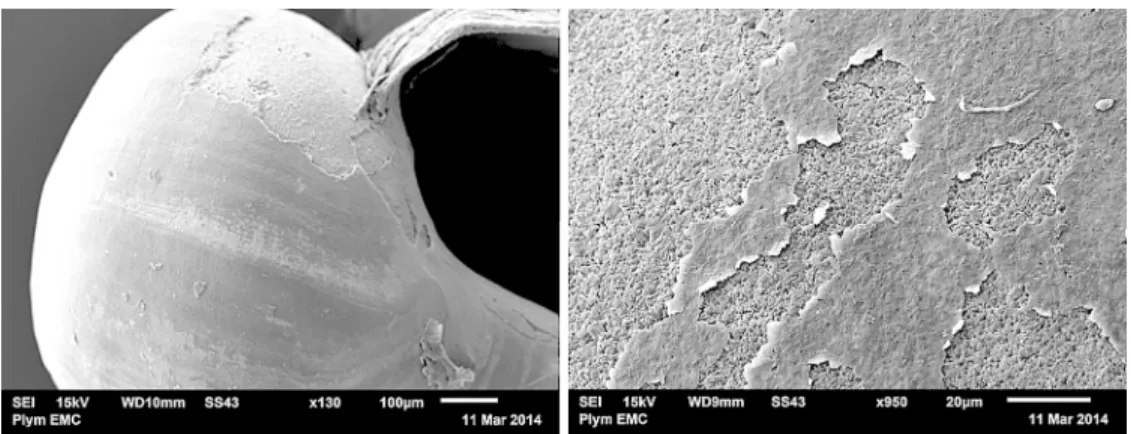 Figure 3: Images of shell exteriors taken with the electron microscope (EM) to show examples of surface  damage in 750T (left) and 750A (right) shells