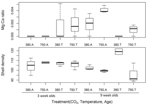 Figure 5: The effect of exposure to elevated pCO2 and temperature, in juveniles of N. lapillus of different  age (weeks 3 and week 9 post exposure) on shell (A) Mg2+:Ca2+ ratios and (B) density which are coded  along the x-axis with a combination of pCO2 c
