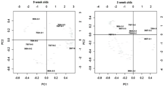 Figure 7: PC1 and PC2 of nine week old shells to the left (A) and three weeks old shells to the right (B)   170x88mm (300 x 300 DPI)  